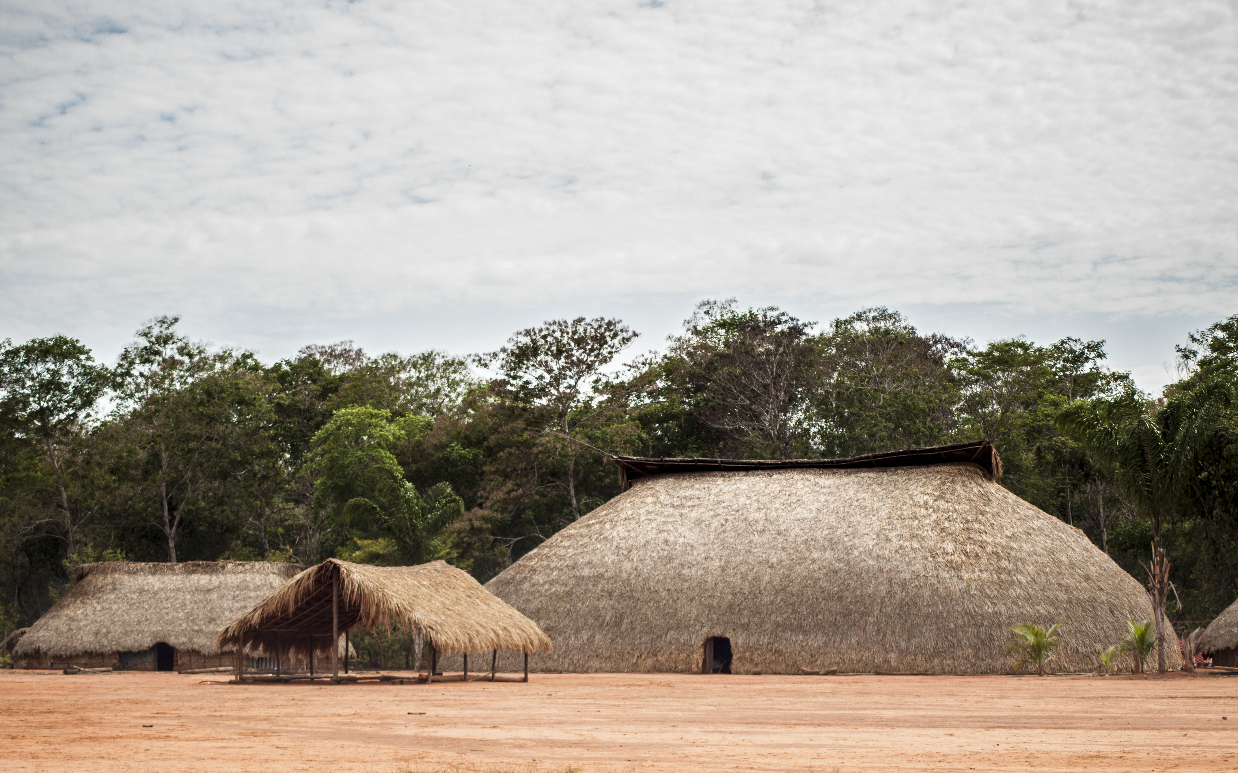 Xingu