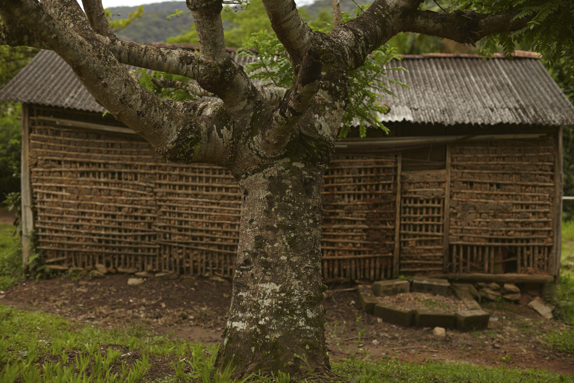 Casa de pau a pique no Quilombo de Ivaporunduva @Loiro Cunha / ISA