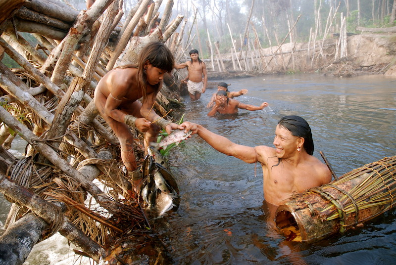 Pescaria durante o Yaõkwá, ritual com duração de 7 meses realizado anualmente pelos Enawenê Nawê e registrado como patrimônio cultural do Brasil pelo Iphan (Instituto do Patrimônio Histórico e Artístico Nacional). A pescaria, parte importante do ritual, está ameaçada pelos planos de construção de hidrelétricas no Rio Juruena, comprometendo a sobrevivência física e cultural desse povo. Terra Indígena Enawenê Nawê, Mato Grosso @Vincent Carelli / Vídeo nas Aldeias