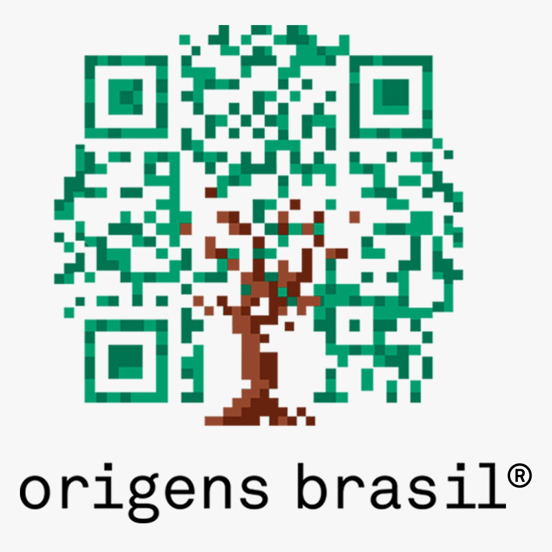 Origens Brasil