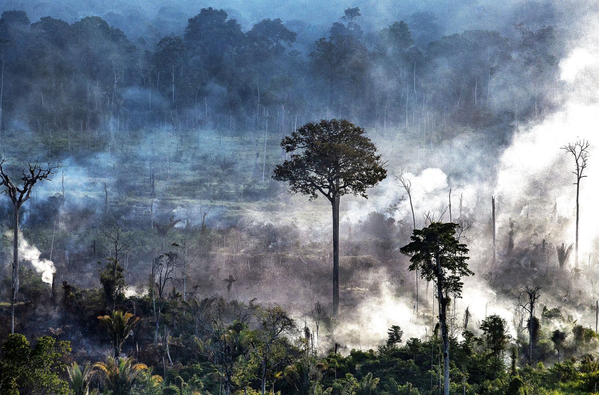 Queimada em Altamira (PA), em 2019 | Marcelo Salazar / ISA