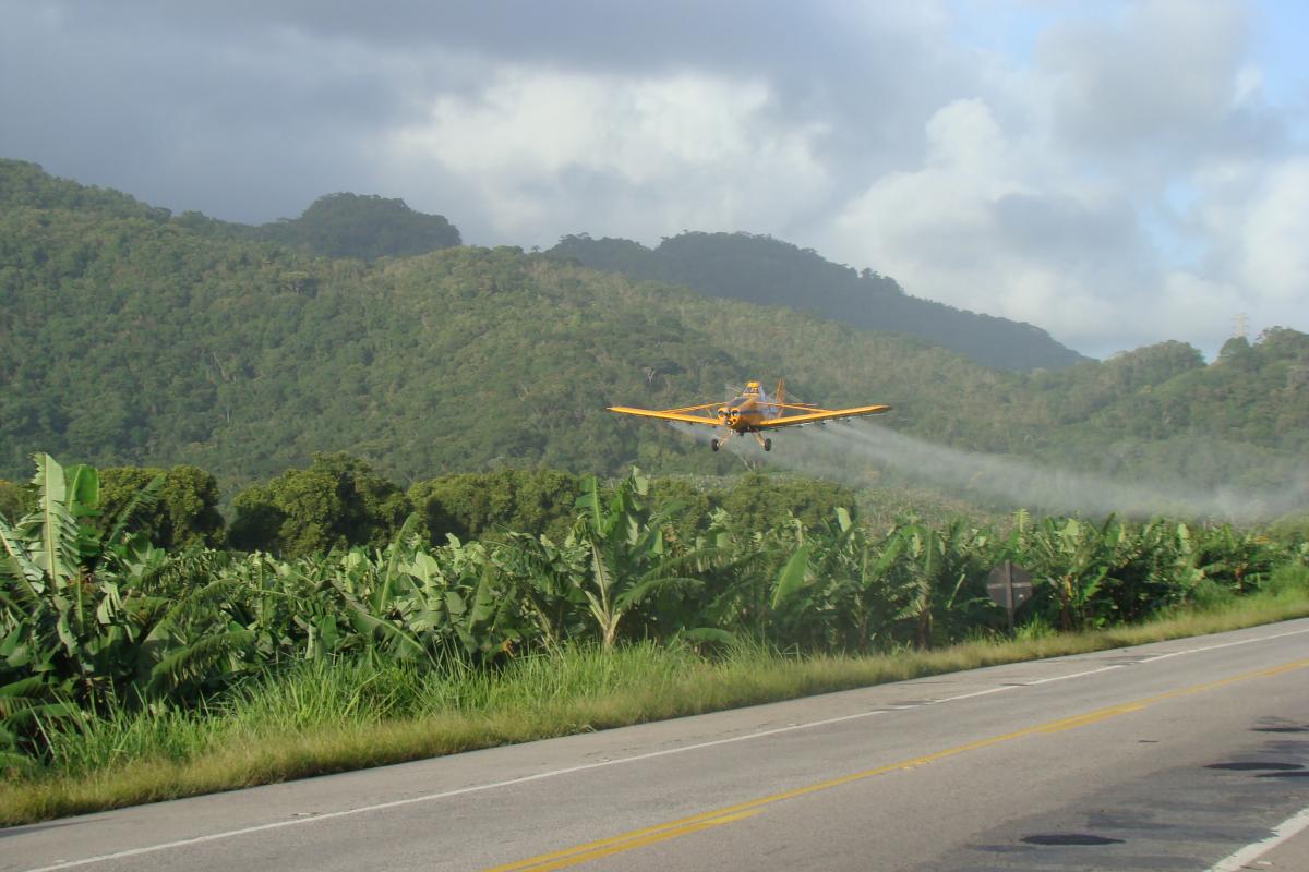 Pulverização aérea de agrotóxicos em Pedro de Toledo, Vale do Ribeira (SP) | Maurício de Carvalho Nogueira / ISA