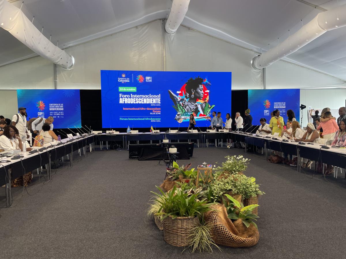 Na COP16, afrodescendentes conquistam direito histórico de inclusão em documentos oficiais
