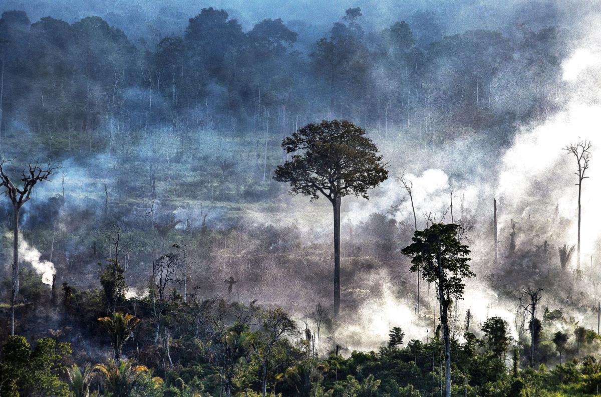 Área de queimada no Médio Xingu | Marcelo Salazar / ISA