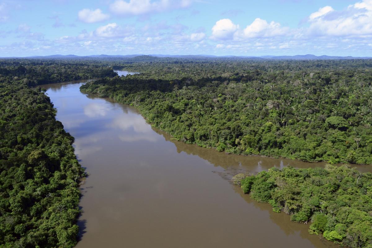 Sobrevoo do Rio Jamanxim, no Pará. Preservar a floresta é primordial para possibilitar projetos de estoque de carbono florestal 📷 Vinícius Mendonça / Ascom / Ibama