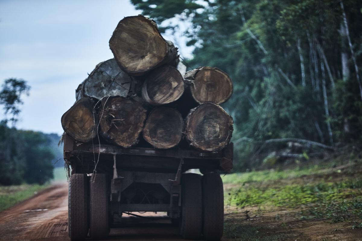 Caminhão carregado de madeira na Aldeia Nasepotiti