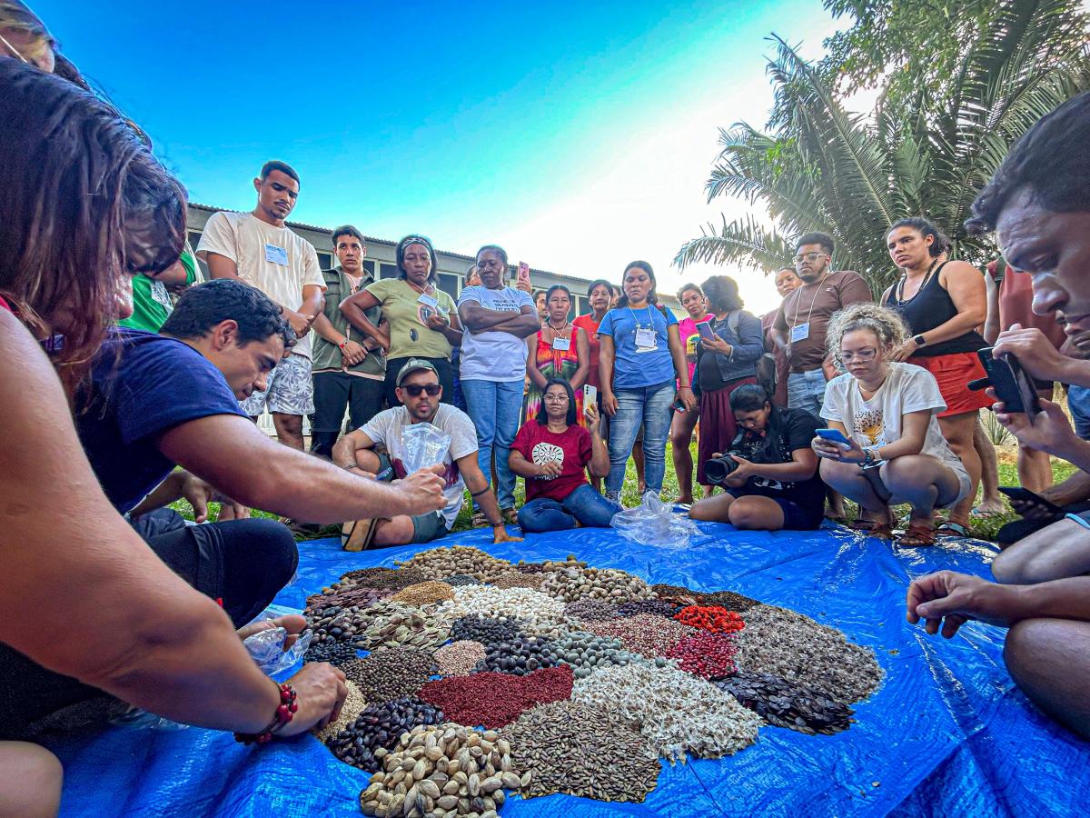 Pessoas em torno da muvuca de sementes