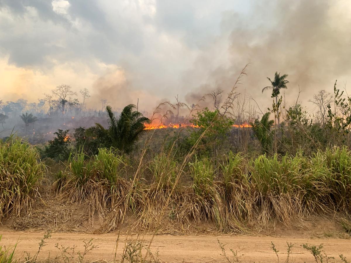 Imagem mostra Queimadas no limite da aldeia Tepdjàti, Terra Indígena Kayapó