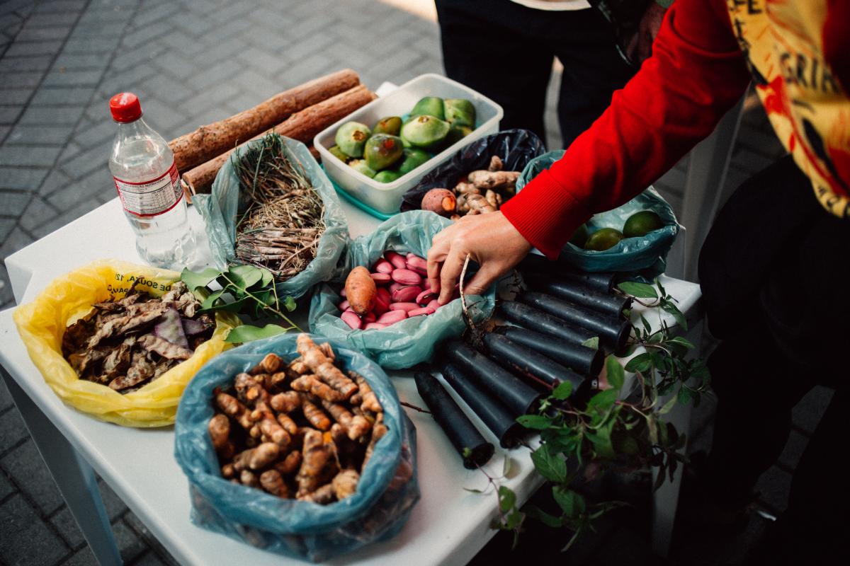 Variedades de espécies presentes nas tendas da 15° Feira de Troca de Sementes e Mudas Tradicionais das Comunidades Quilombolas do Vale do Ribeira