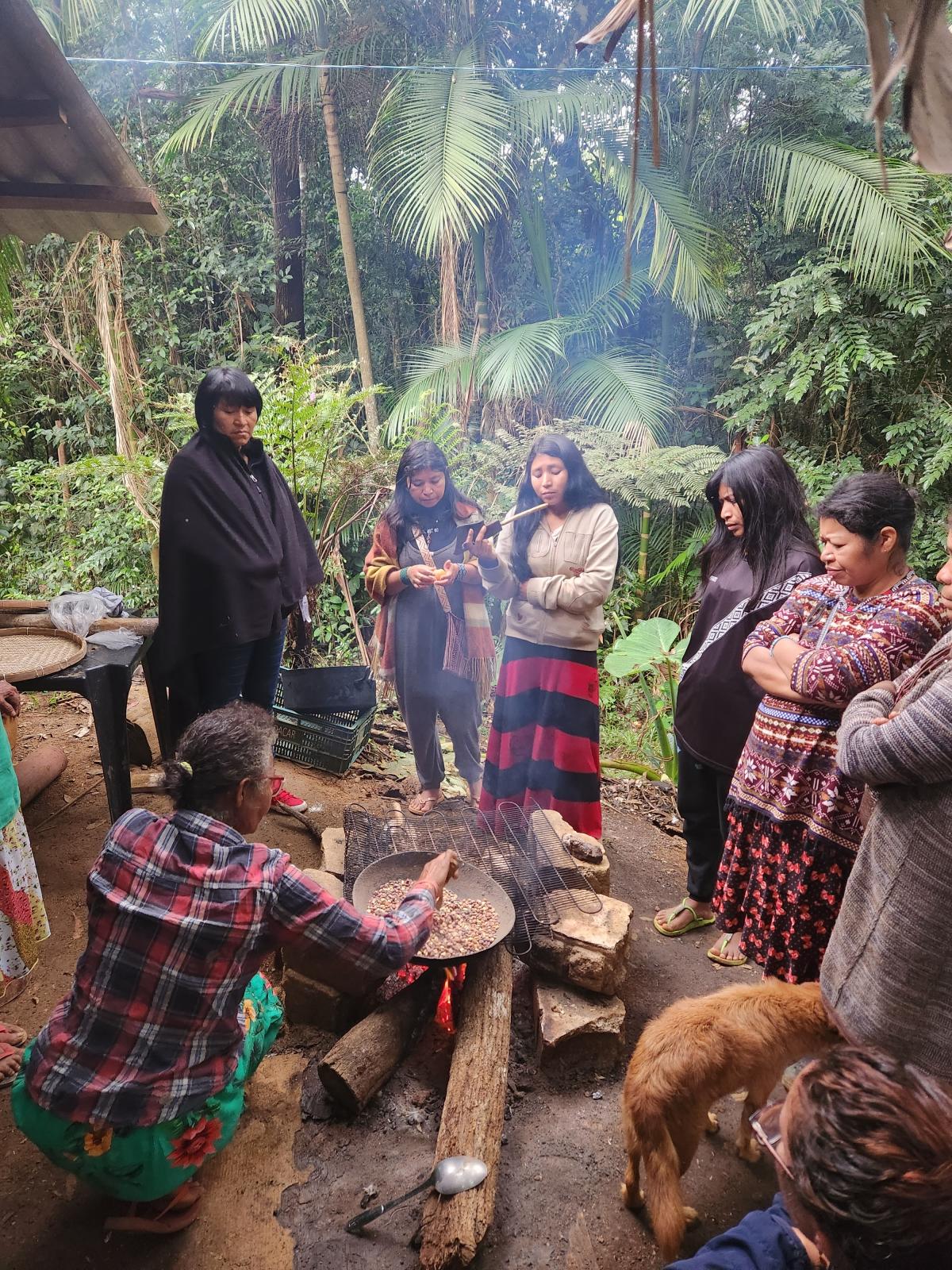 Ehuana Yanomami observa mulheres Guarani cozinhando