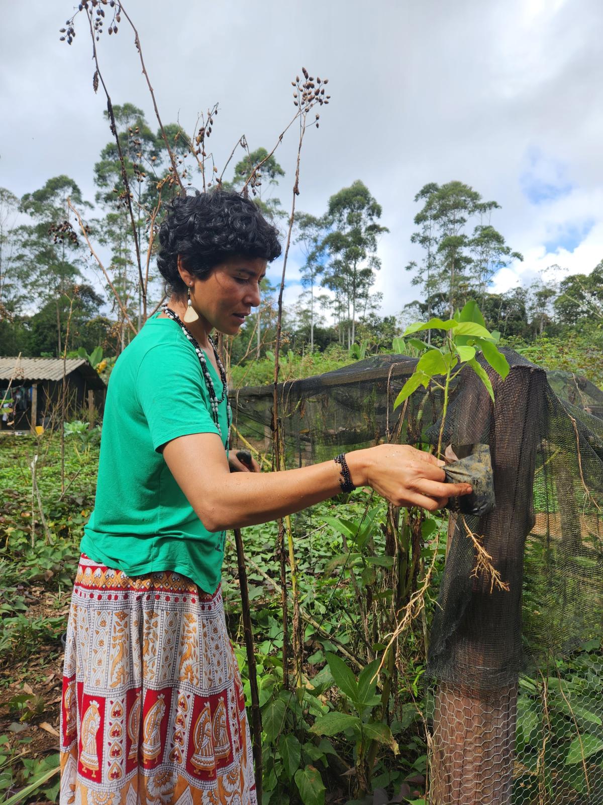 Jera Poty Mirim em roça guarani