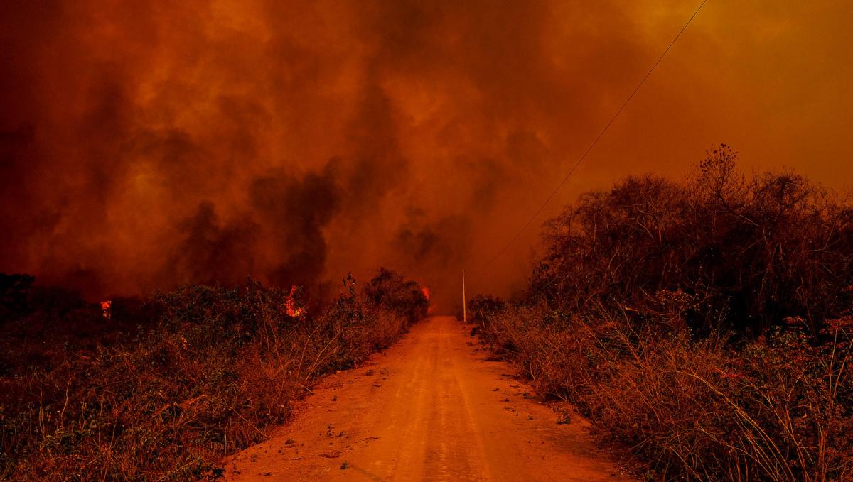 Incêndio no Pantanal, em 2020. Estamos às portas do inferno climático? | Mayke Toscano | Secom - MT