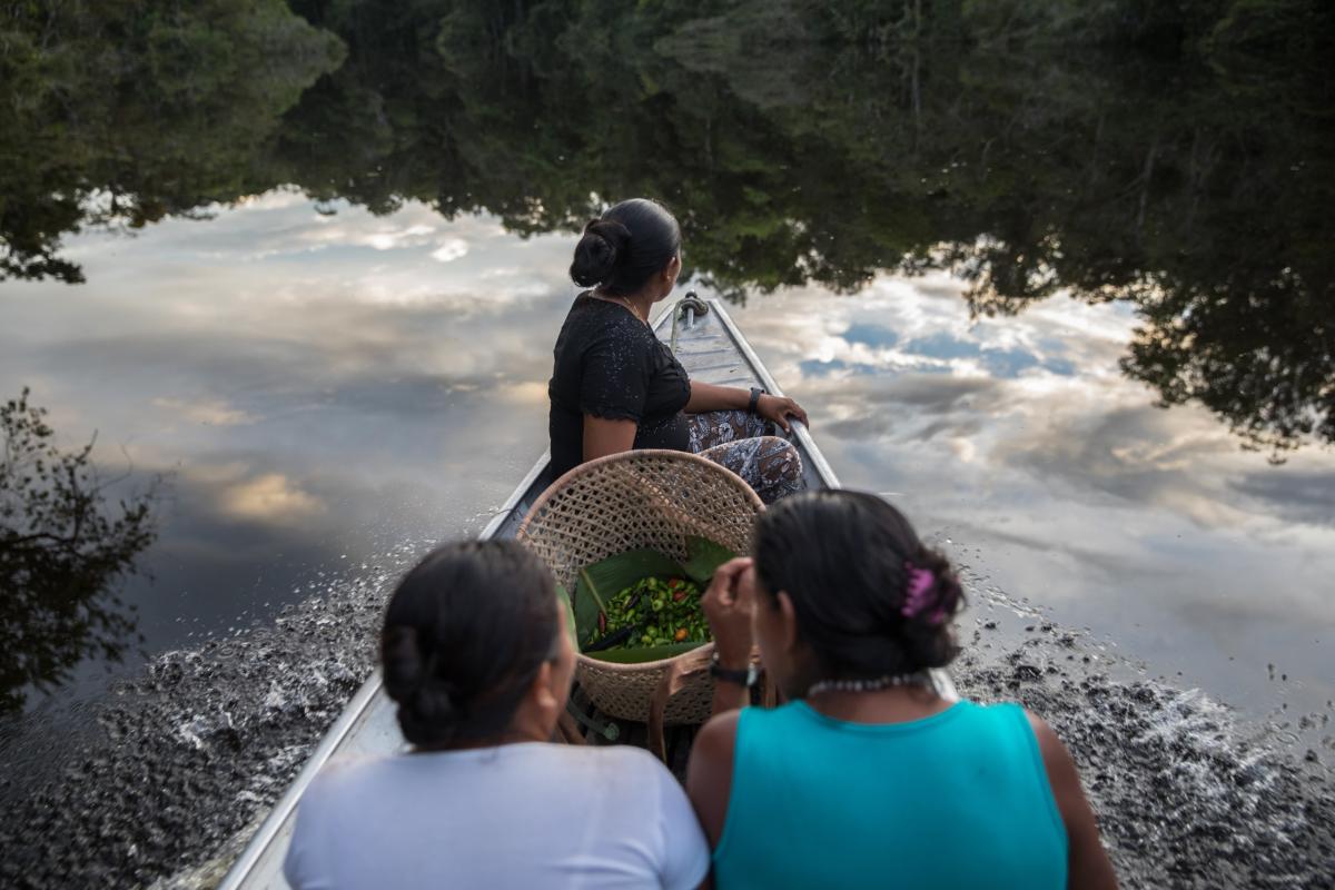 Povos da floresta precisam ser protagonistas das soluções para barrar a crise climática