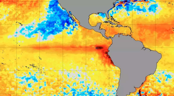 Águas do Pacífico Equatorial aquecidos pelo El Ñino, 2024 | Nasa