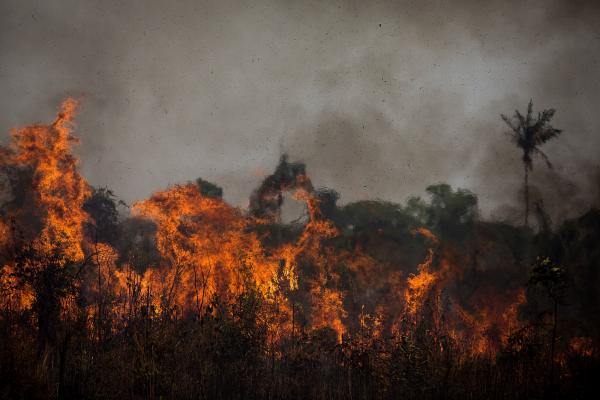 Queimada em Porto Velho (RO), em 2020 | Bruno Kely / Amazônia Real