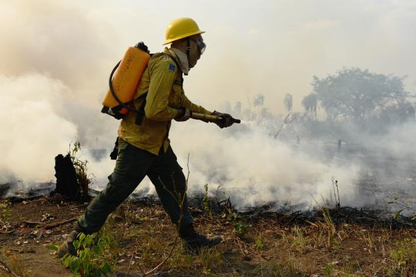Governo federal tem apostado nas brigadas, compostas em sua maioria por indígenas, para combater o fogo em Terras Indígenas | Felipe Werneck / Ascom / Ibama