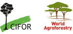 Cifor-Icraf